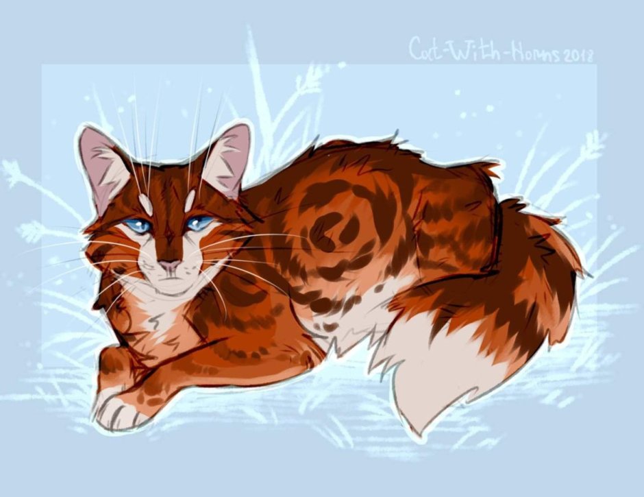 Окрас Маркиз котенка