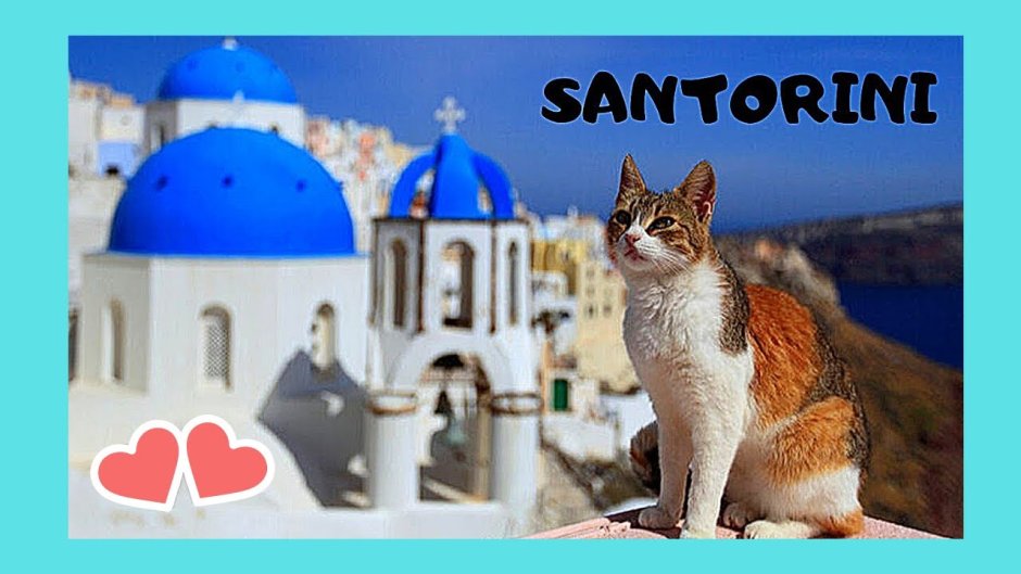 Эгейская порода кошек