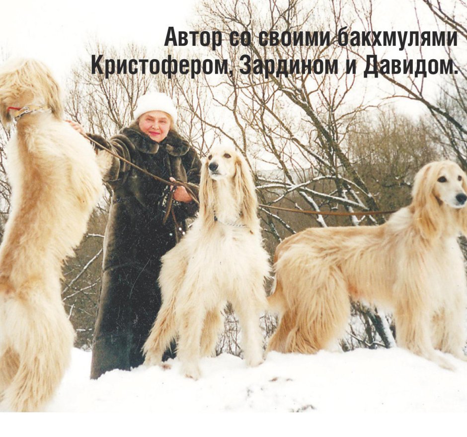 Бакхмуль расчесанная