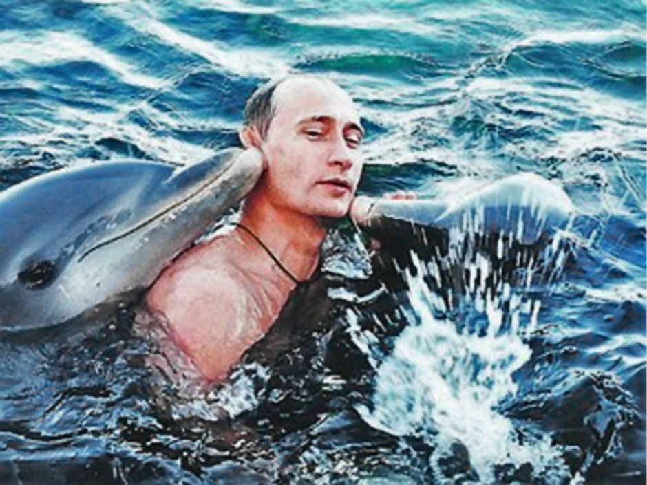 Кит Белуха