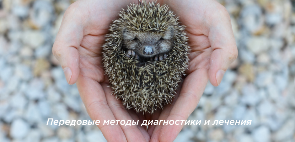 Сказочное солнце
