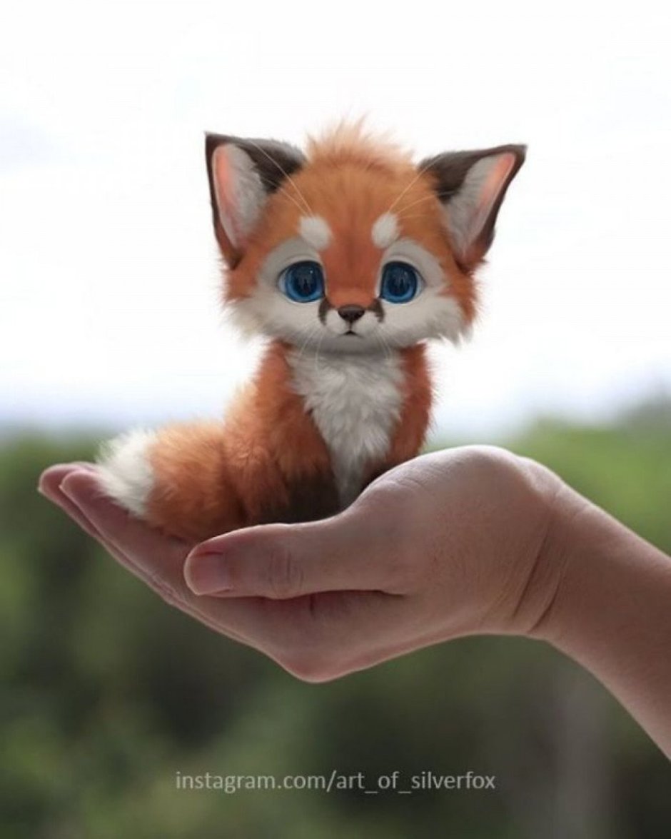 Art of Silverfox лисята