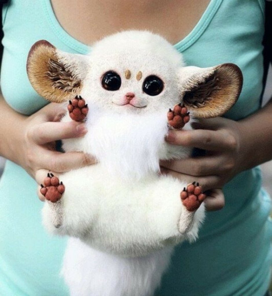 Игрушки Santaniel Inari Foxes