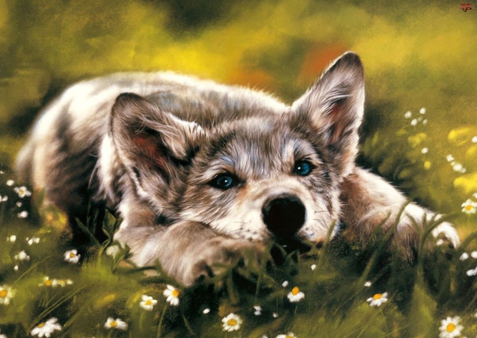 Lesley Harrison художник