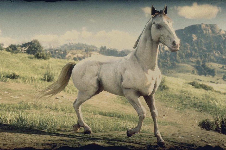Red Dead Redemption 2 Ахалтекинская лошадь