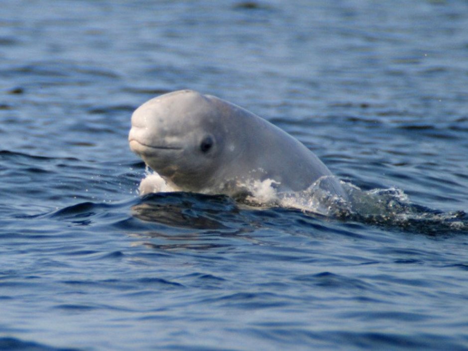 Краболовы Охотское море