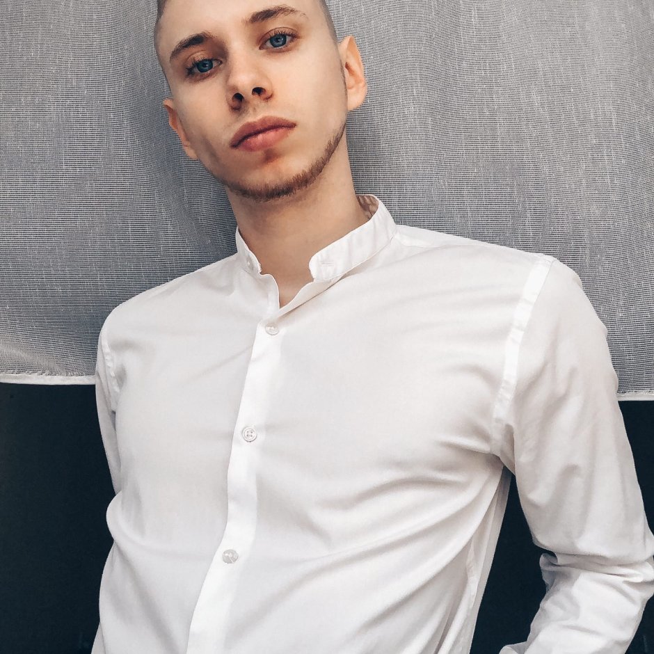 Блэк Вульф волк