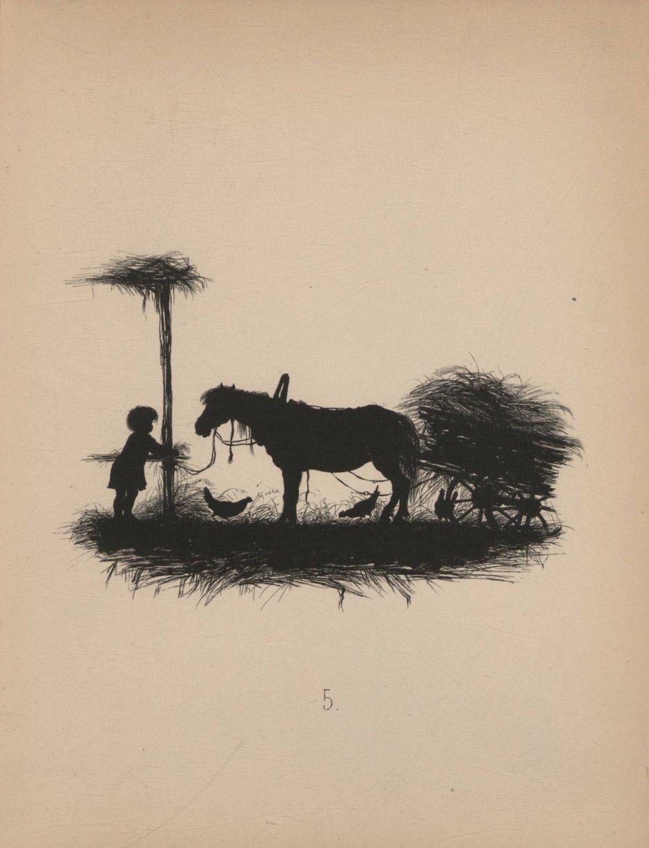 Волк после дождя фото