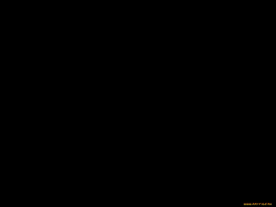 Мишки в Арктике