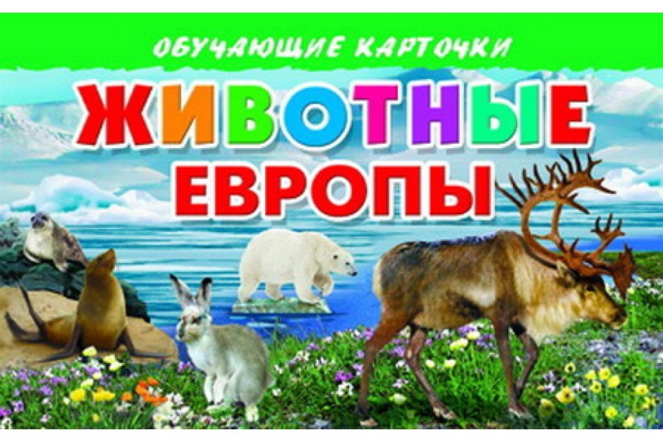 Животные Европы для детей