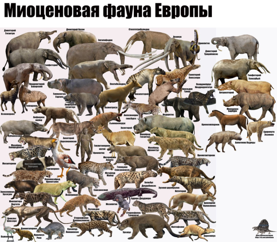 Миоценовая фауна Африки
