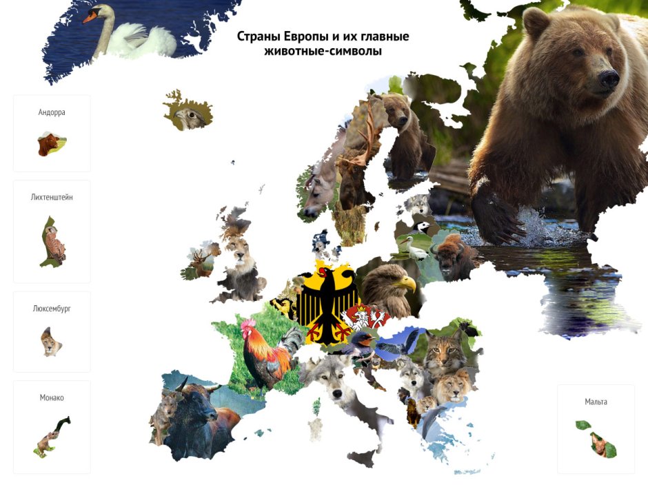 Символы животных стран