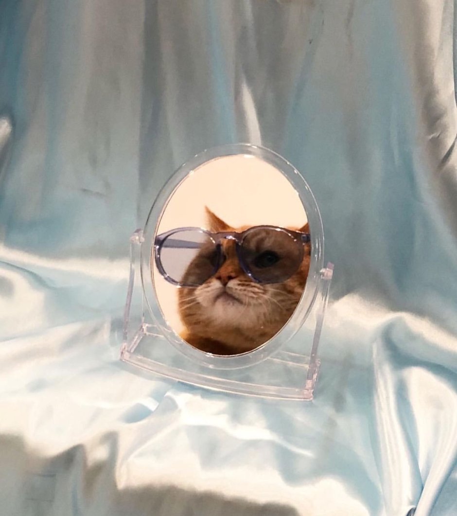 Котики для эстетики