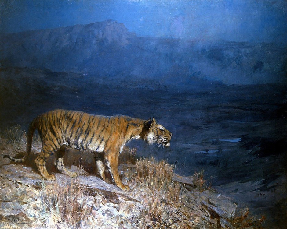 Тигр (Panthera Tigris)