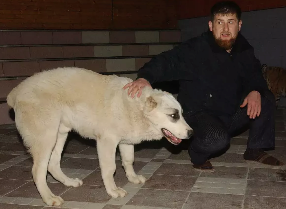 Алабай Кадырова