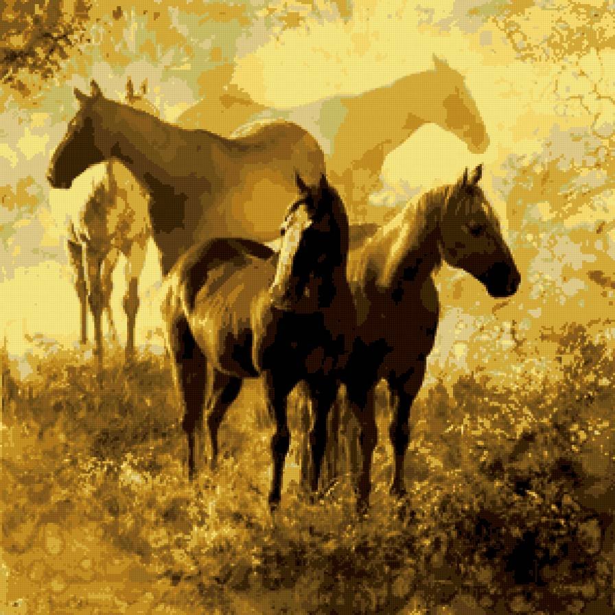 Юрий Ярош кони