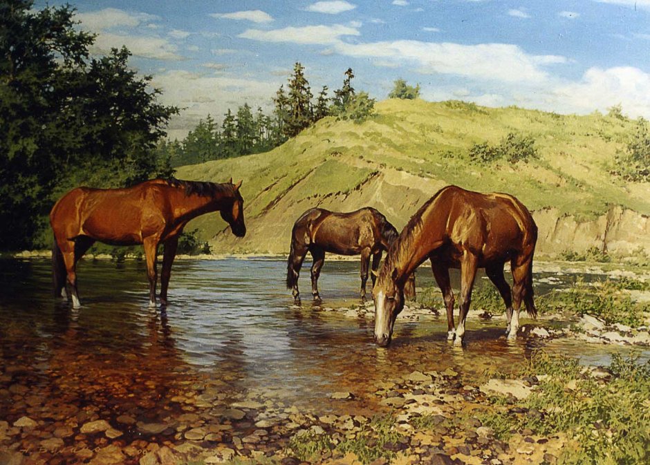 Художник Александр Булаков лошади