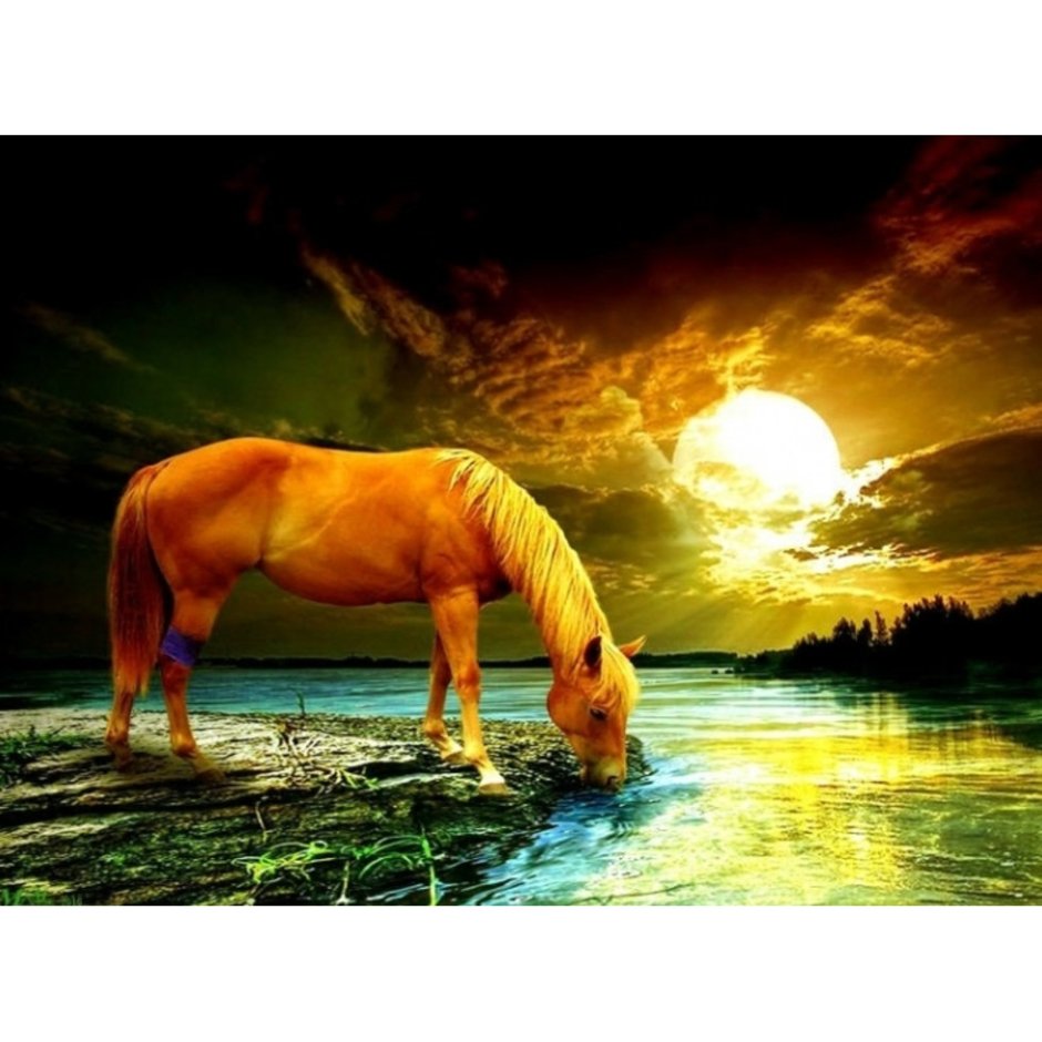 Конь на закате картина
