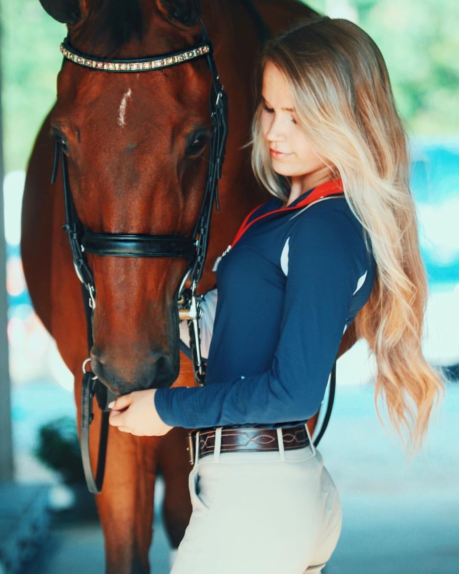 Русская верховая лошадь Старожиловский конный завод