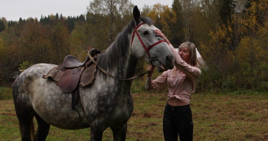 Девушка на коне