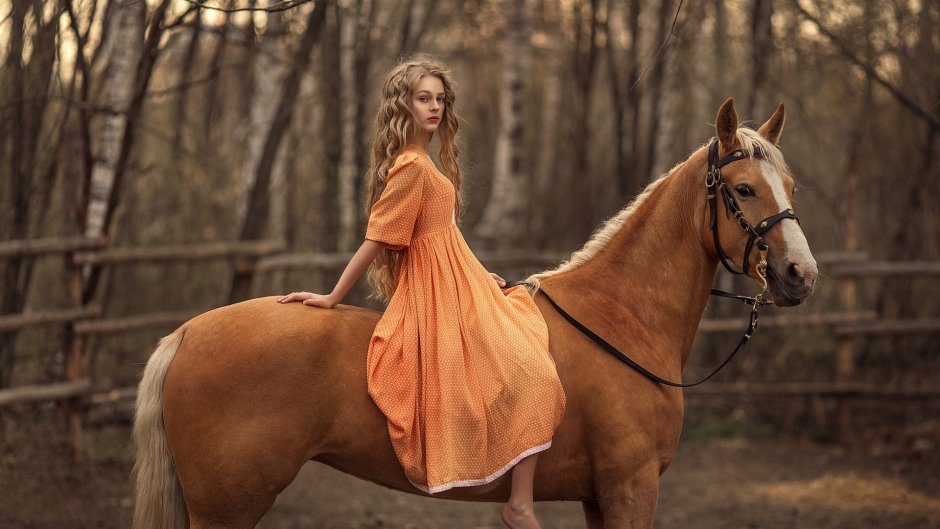 Фотосессия с лошадьми