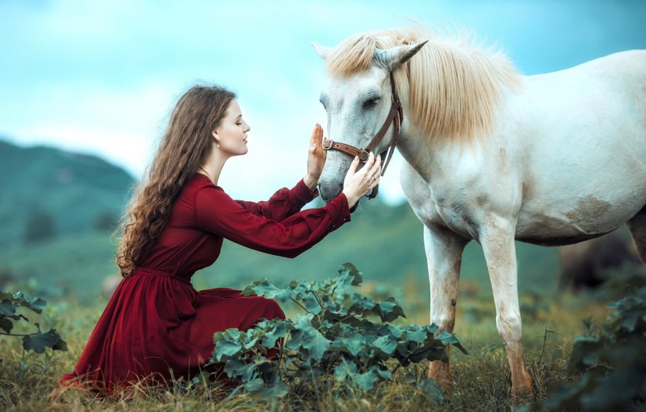 Фотозона с лошадями зима