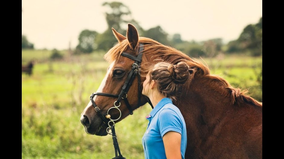 Девушка на коне