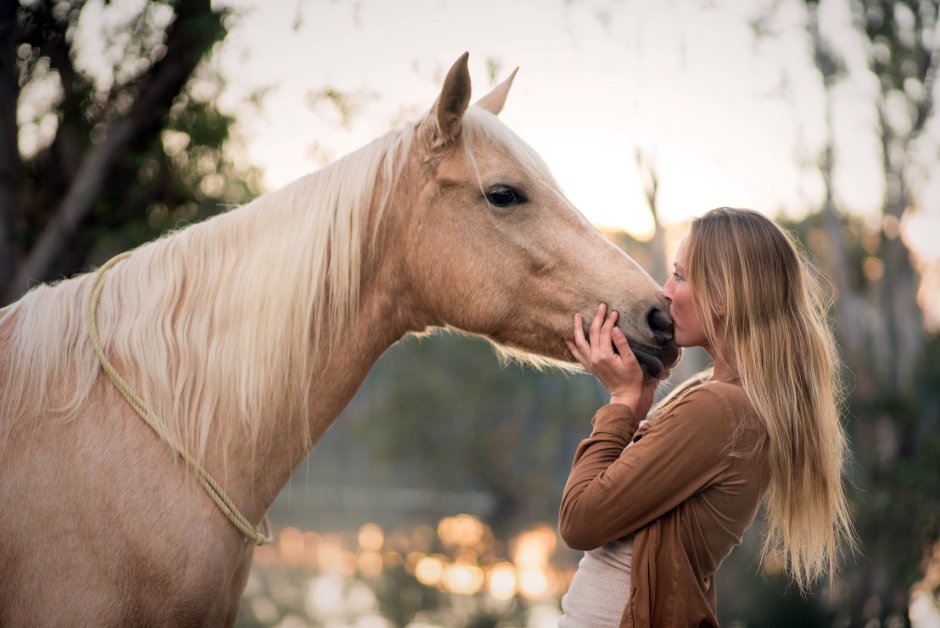 Лошади любовь Весна