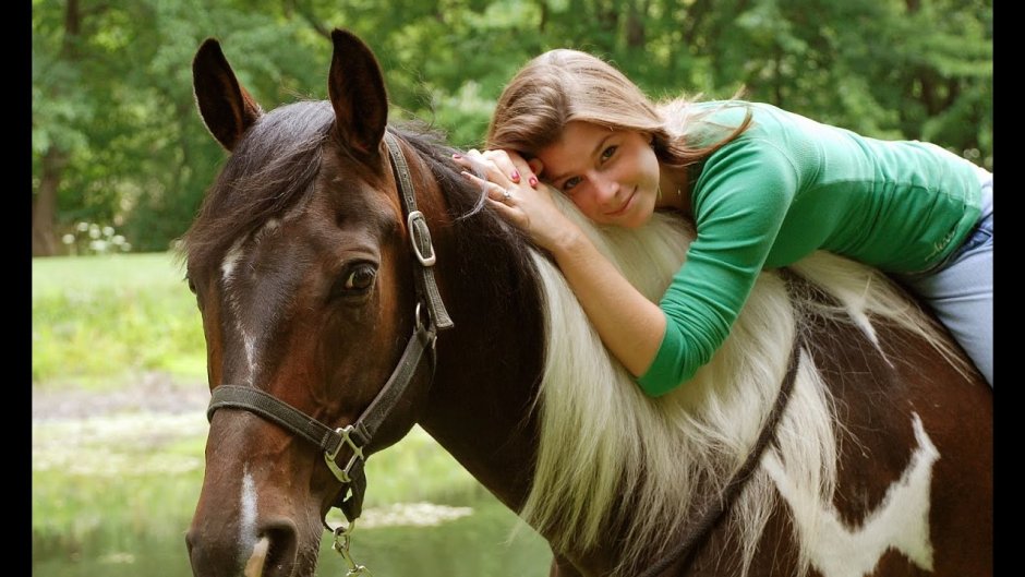 Двор белой лошади