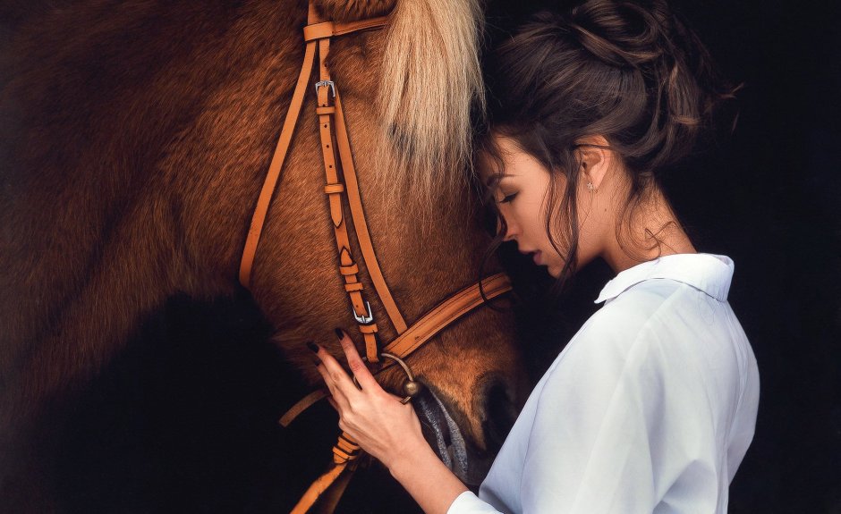 Драма на охоте лошадь