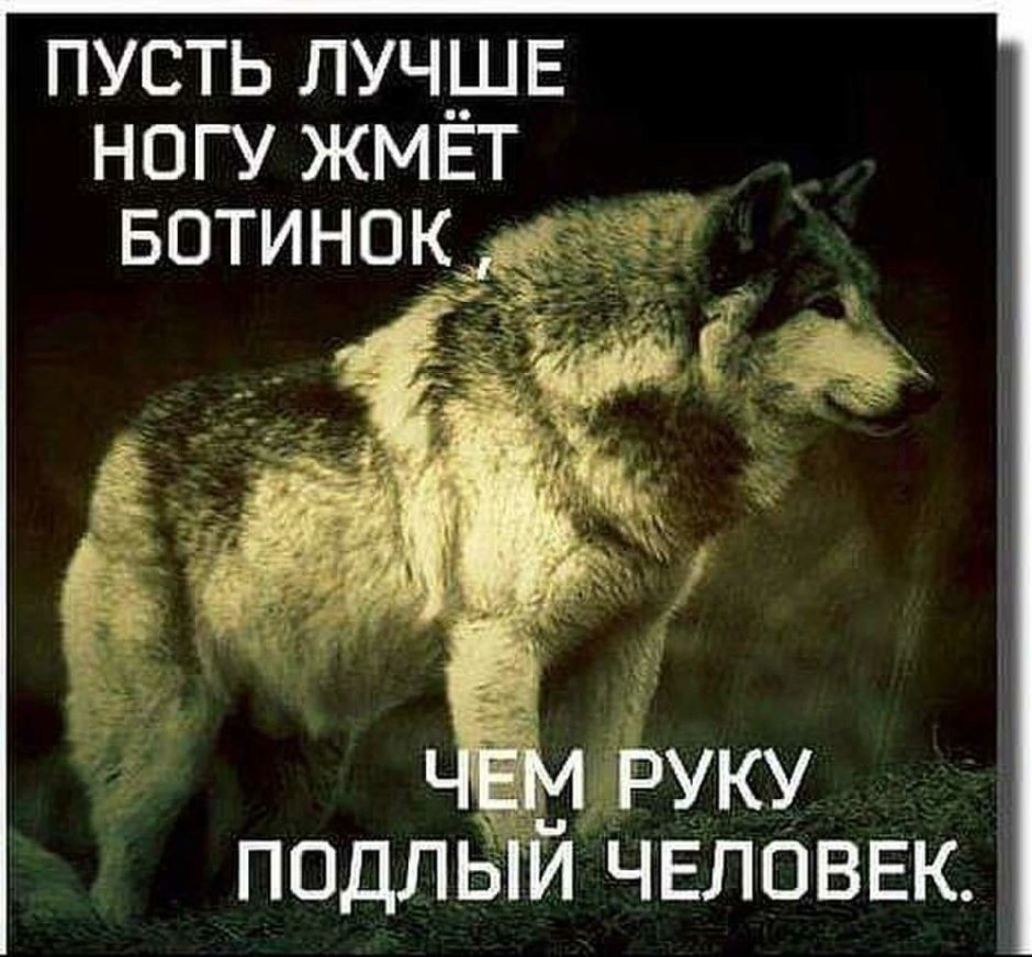 Пусть лучше ногу жмет ботинок