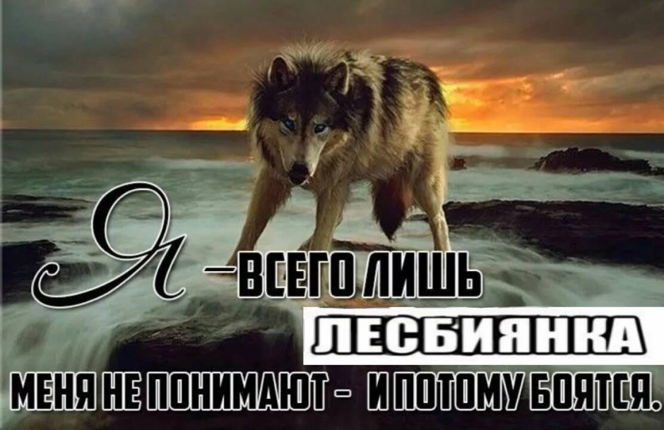 Волк одиночка с надписью
