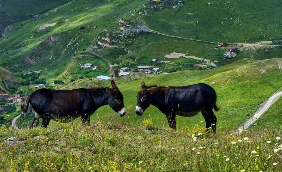 Рассвет в горах Кавказа