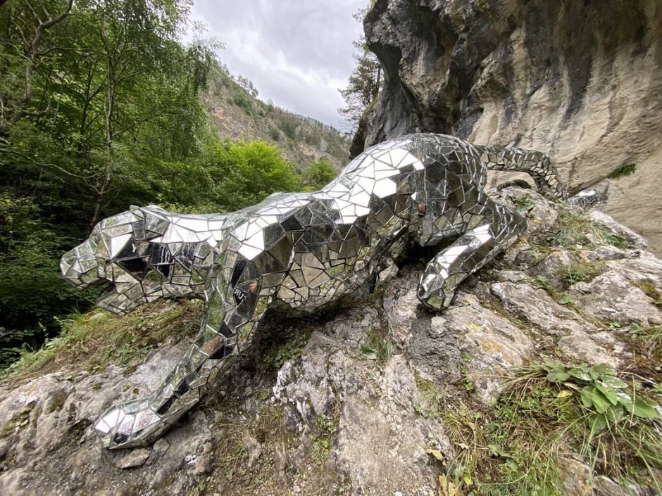 Барс кадаргаванская теснина