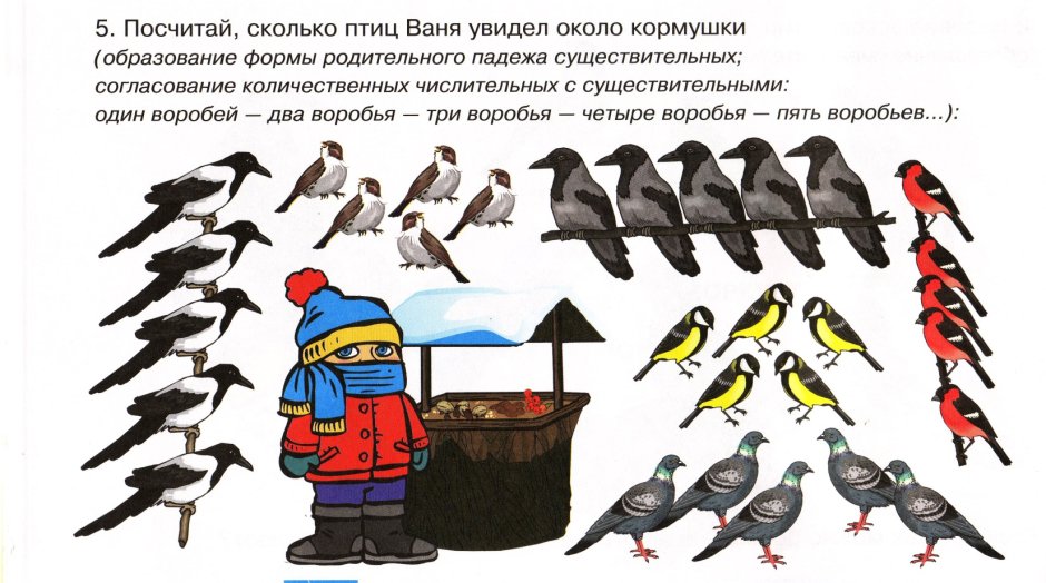 Русланова зимующие птицы