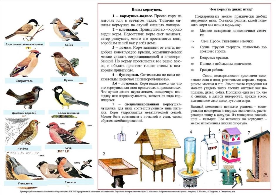 Соедини линиями рисунки и названия птиц