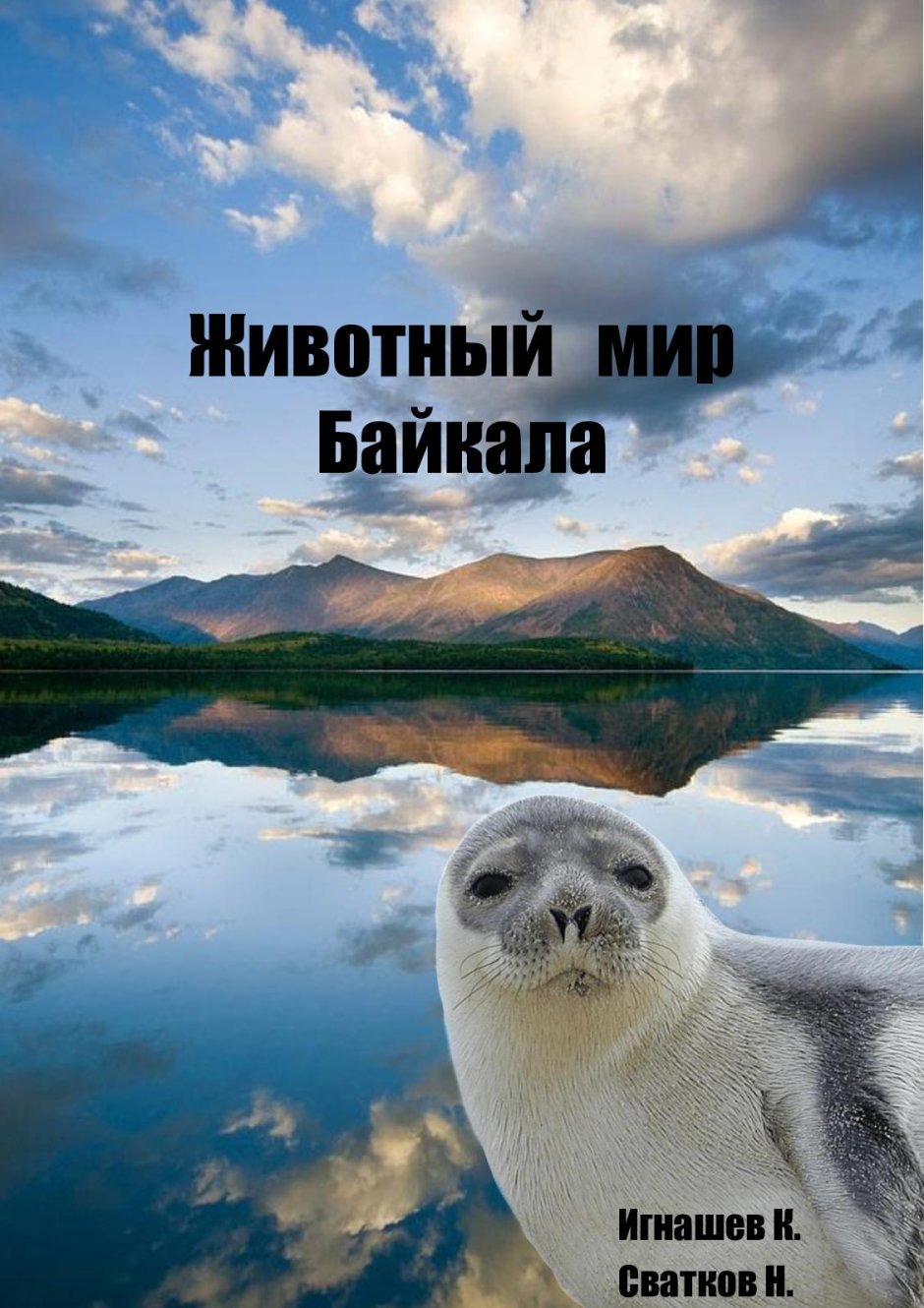 Байкальский Баргузинский Соболь