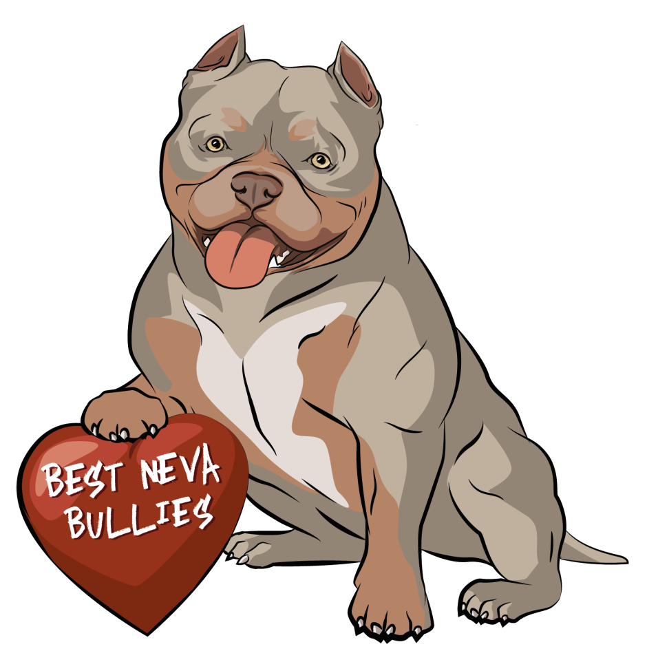 Питомник собак в Крыму американский булли