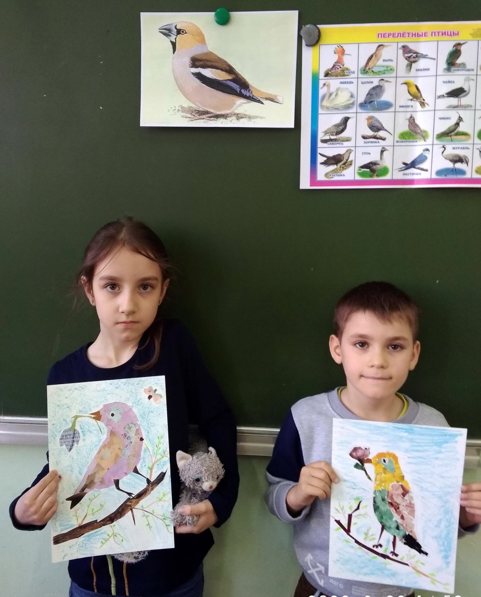 Программа птицы Кубани