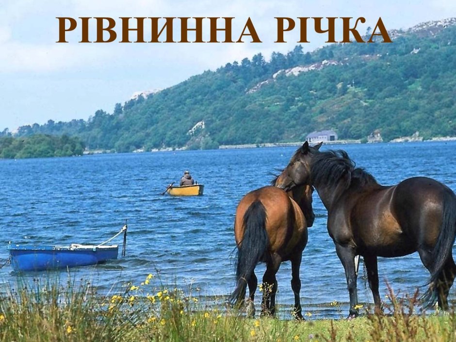 Конь на берегу реки
