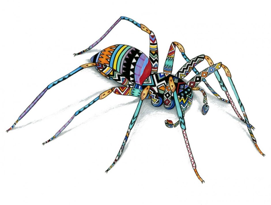 Разноцветные пауки