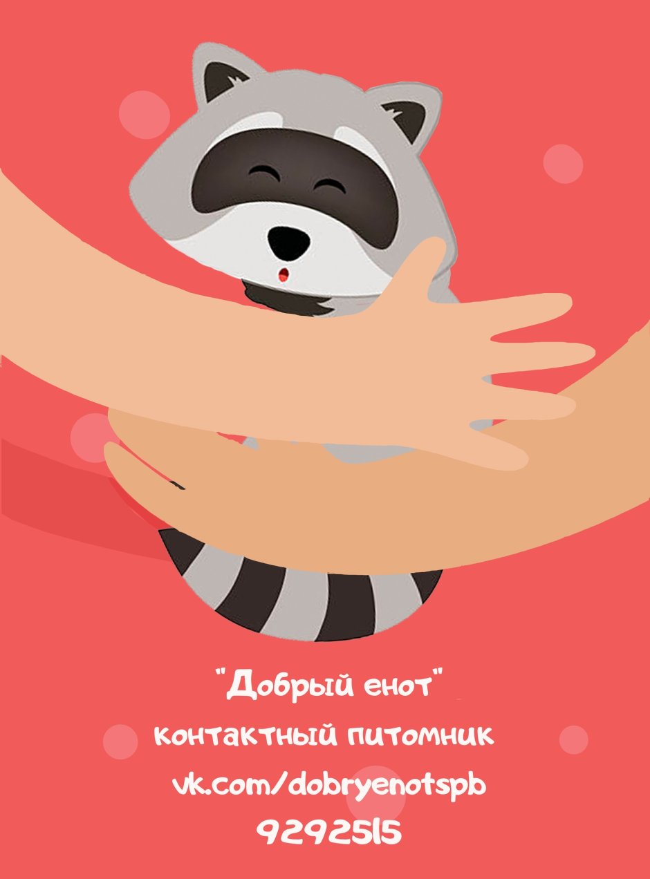 Панда обнимает енота