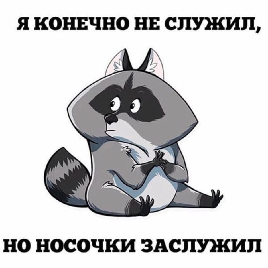 Енот 23 февраля
