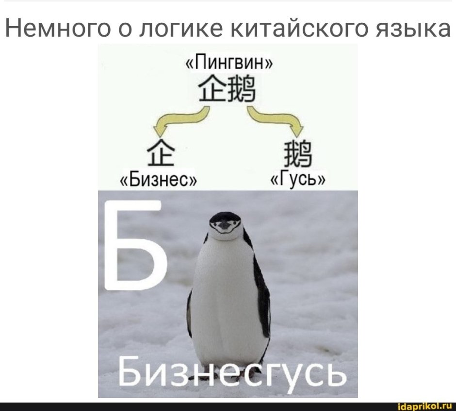 Бизнес Гусь Пингвин