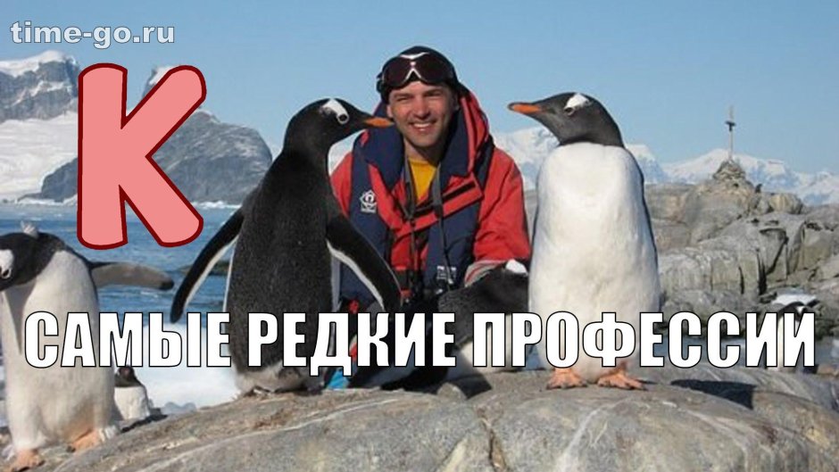 Самая халявная профессия