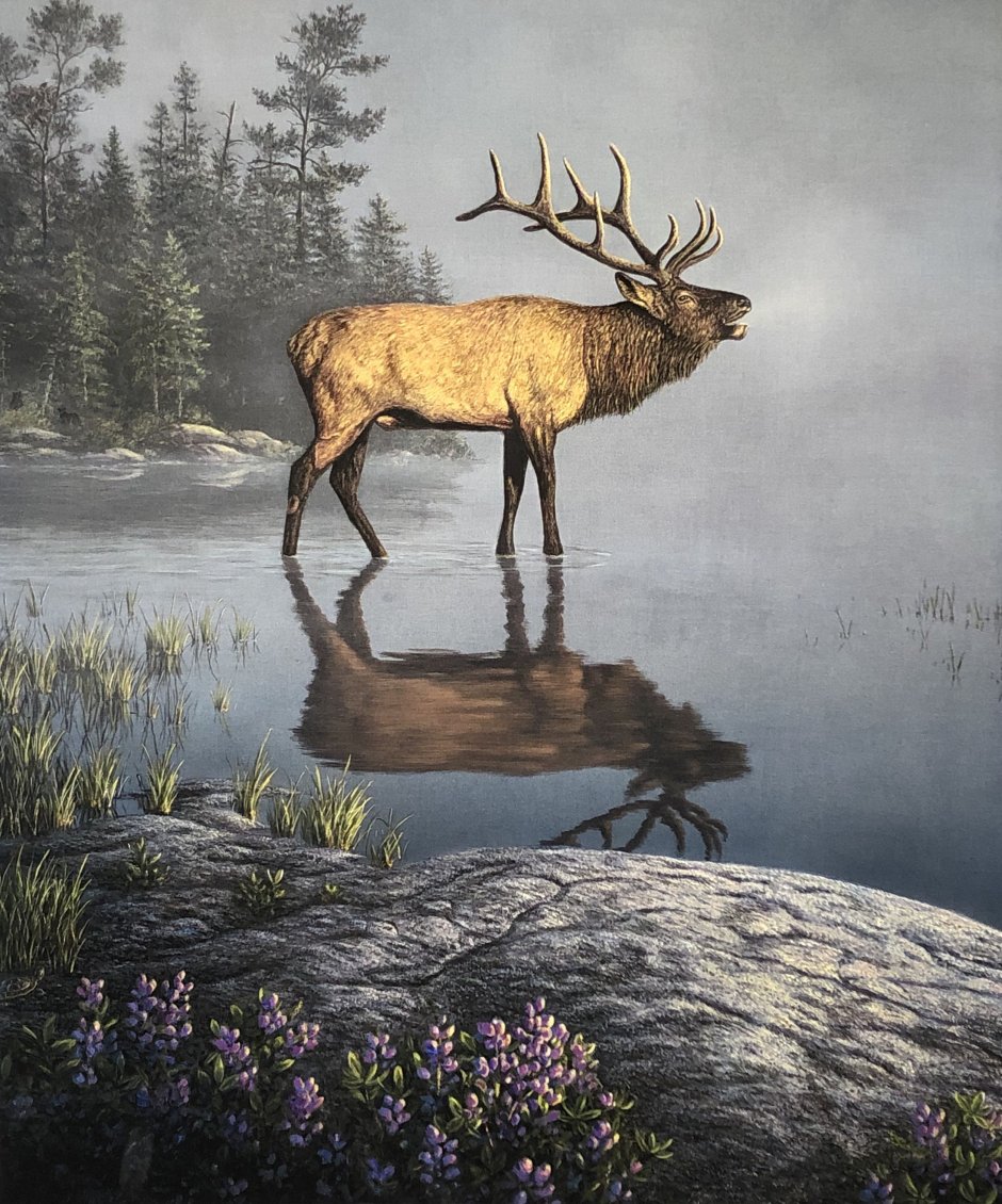 Kim Norlien американский художник