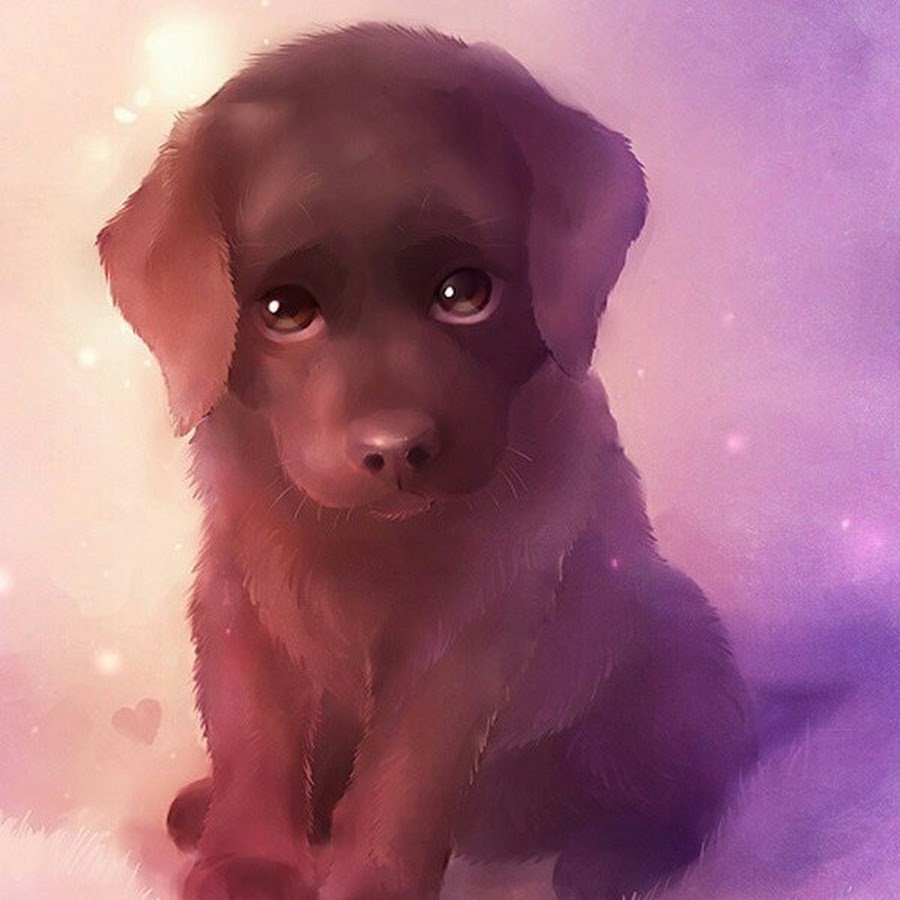 Красивые арты собак