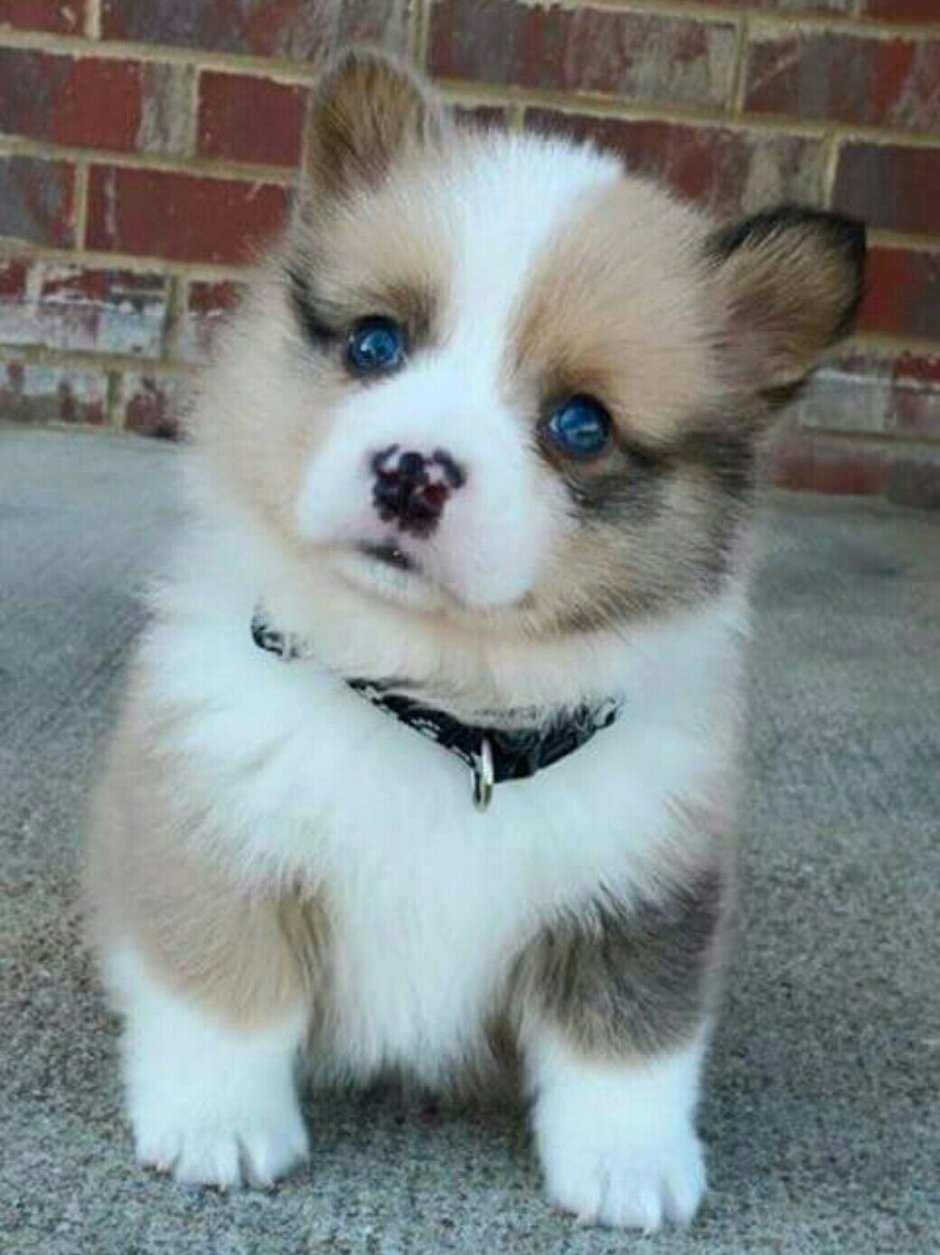 Много лайков