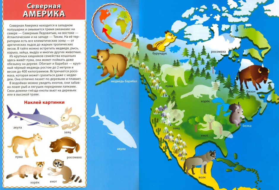 Животный мир Мексики