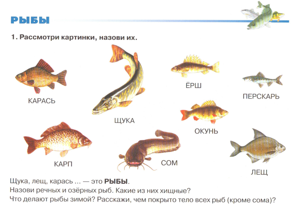 Вертолетная экскурсия на Курильское озеро